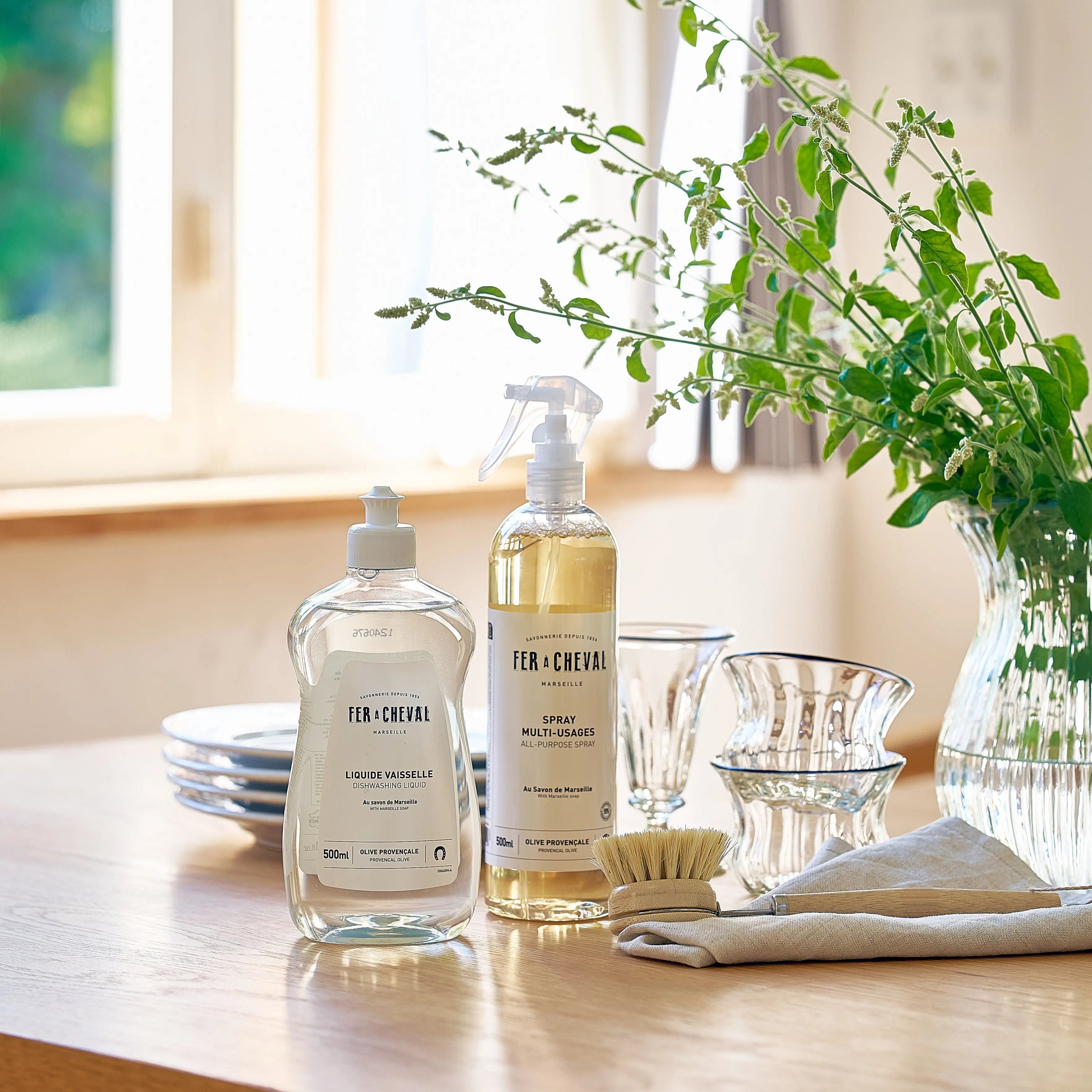 Dish washing liquid ディッシュウォッシングリキッド Fer à Cheval